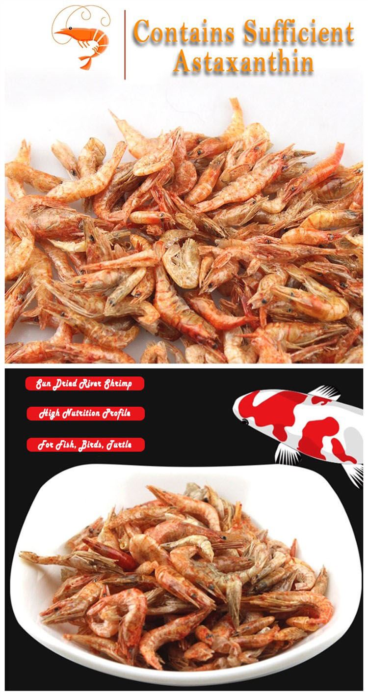 Sun Dried River Shrimp