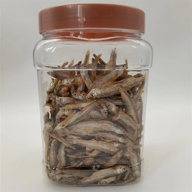 Dried River Fish