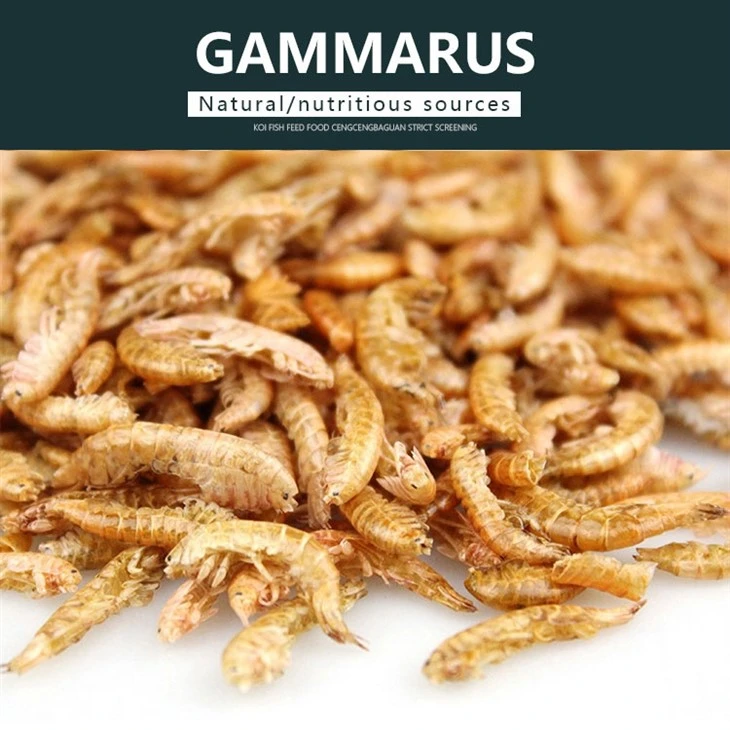 FD Gammarus Food