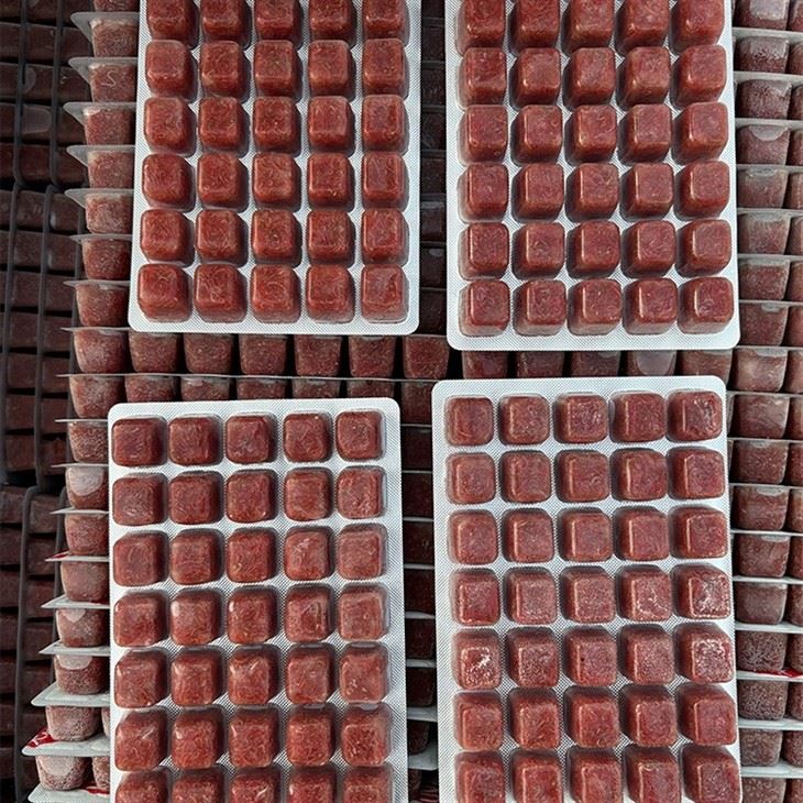 OEM Frozen Bloodworms