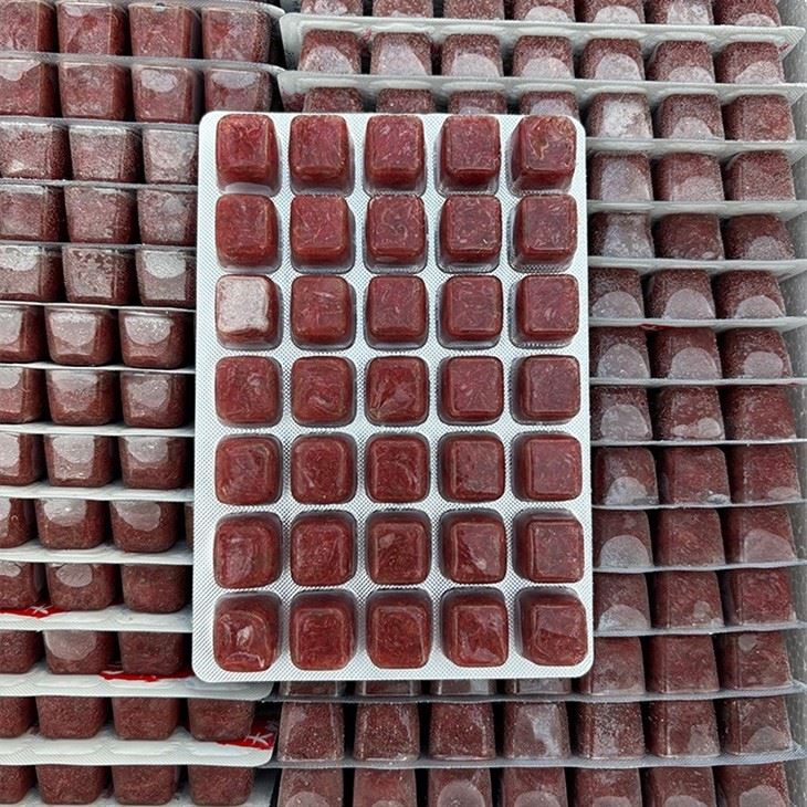 OEM Frozen Bloodworms