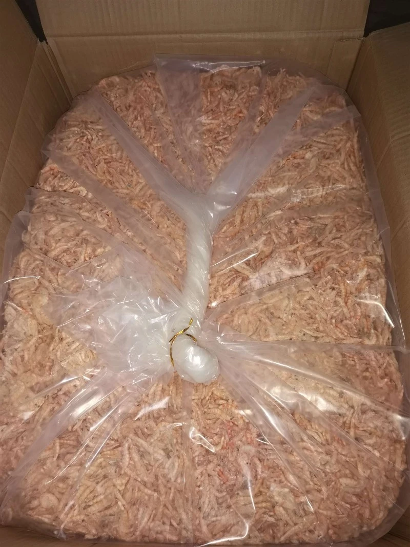Bulk freeze-dried Antarctic krill Euphausia superba in moisture-barrier packaging Bulk freeze-dried Antarctic krill Euphausia superba in moisture-barrier packaging