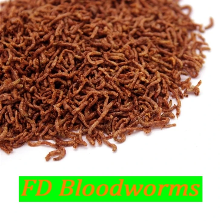 dried bloodworm