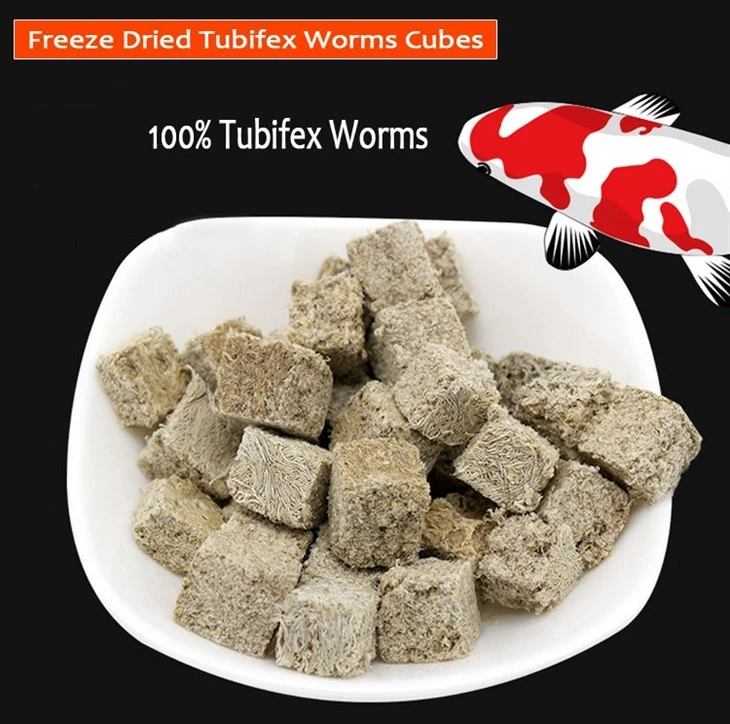 Freeze Dried Tubifex Worms cubes