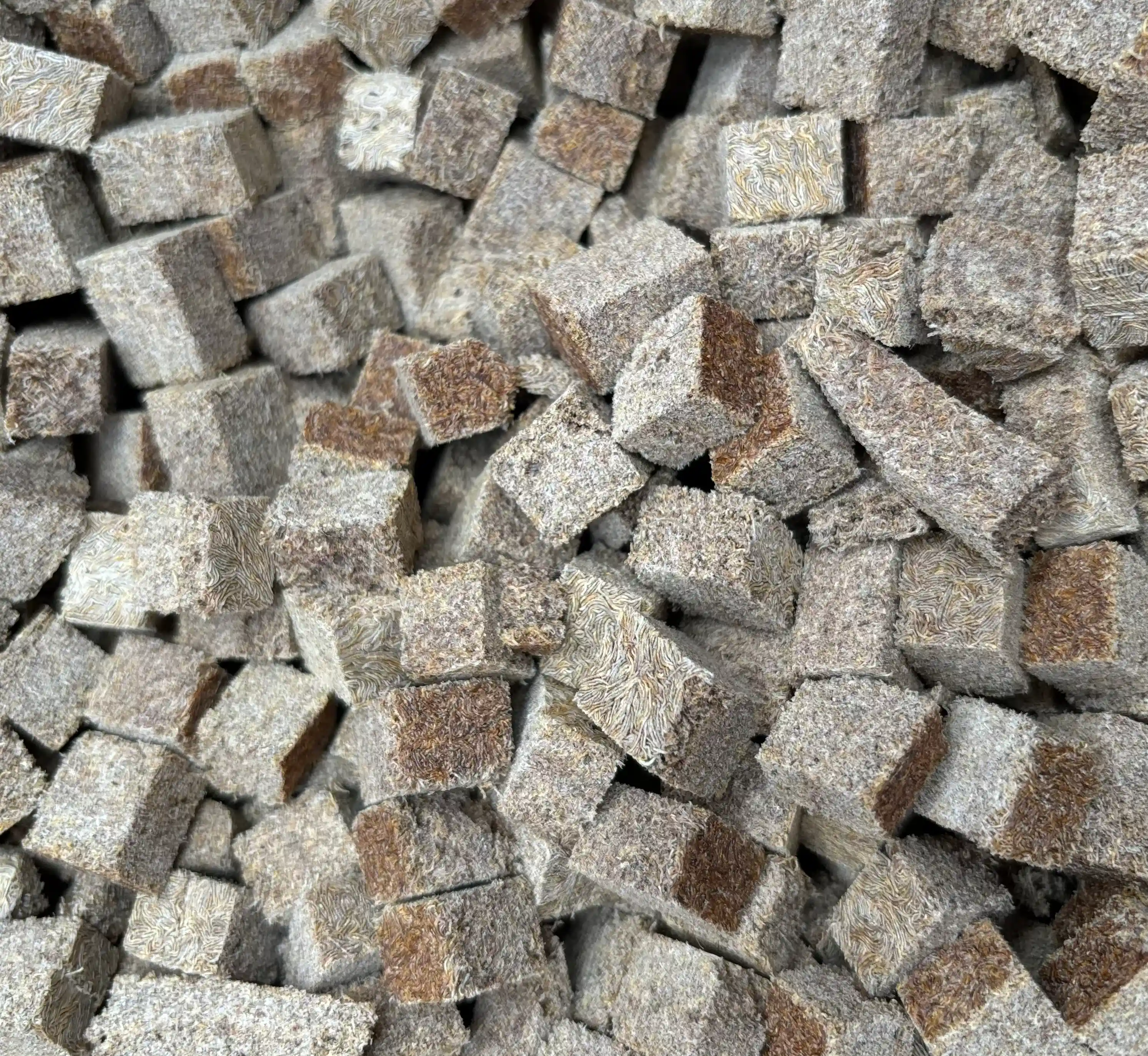 Freeze Dried tubifex worms food